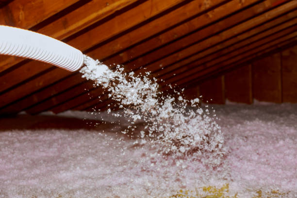Best Insulation for Specific Applications in Waialua, HI